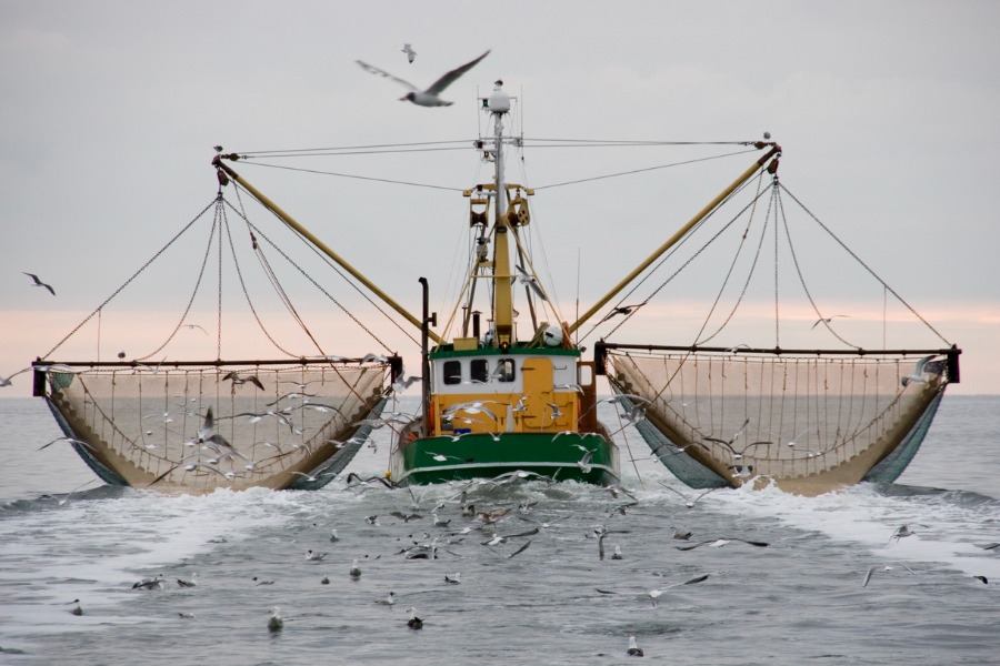 Fishing Boat