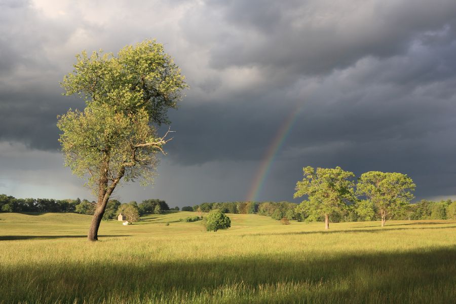 “I Can Sleep when the Wind Blows,” Lessons in TA Leadership